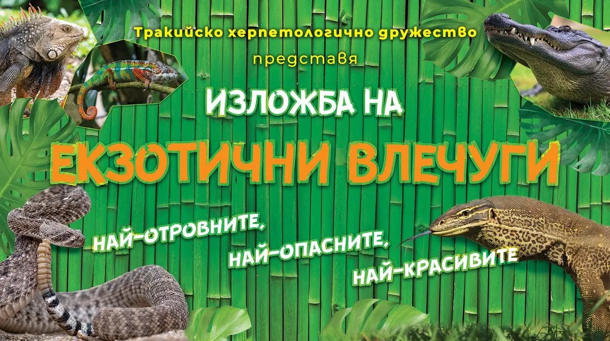 Изложба на екзотични влечуги